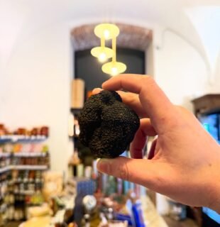 Pour sublimez vos fêtes, laissez vous tenter par ces belles 
Melanosporum