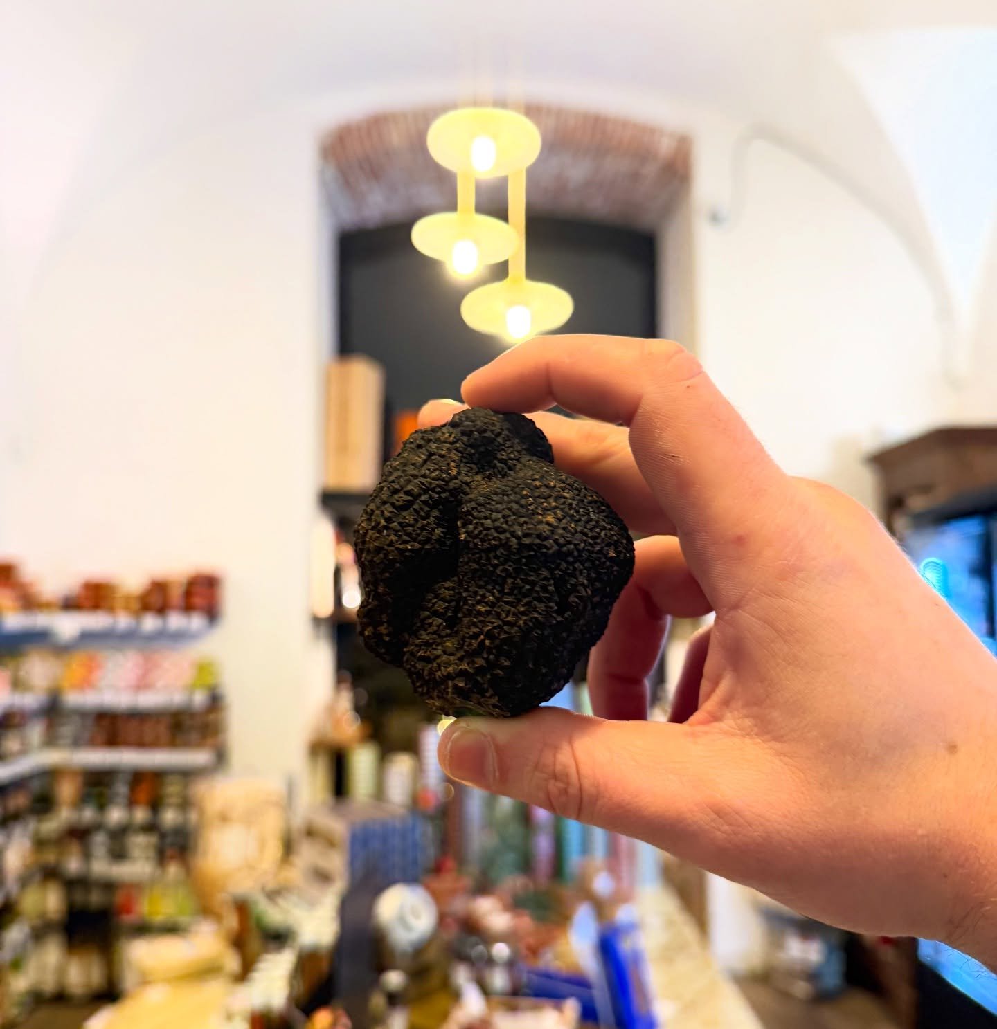 Pour sublimez vos fêtes, laissez vous tenter par ces belles 
Melanosporum