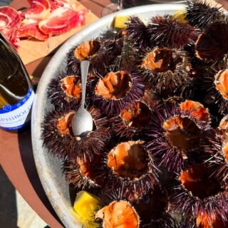 Du pain du vin des oursins