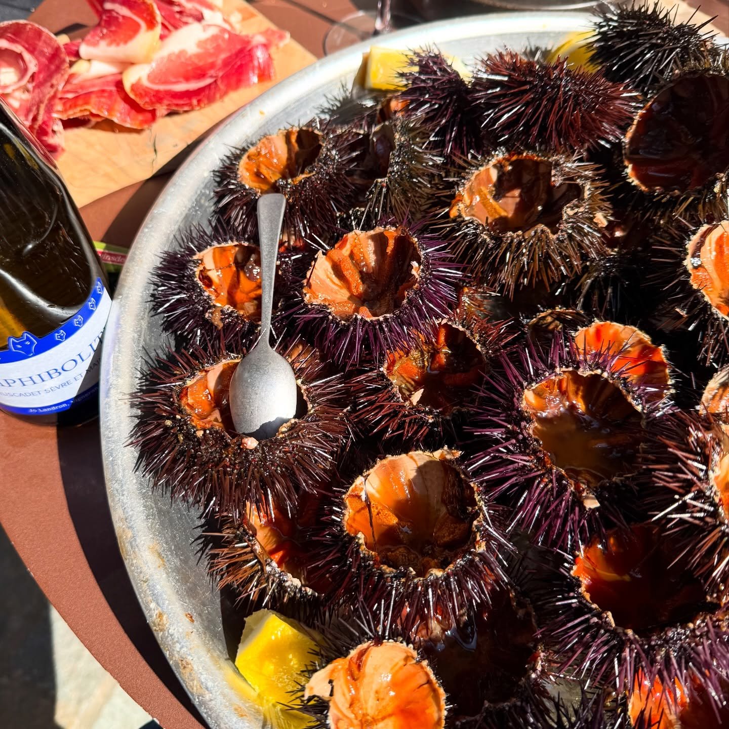 Du pain du vin des oursins